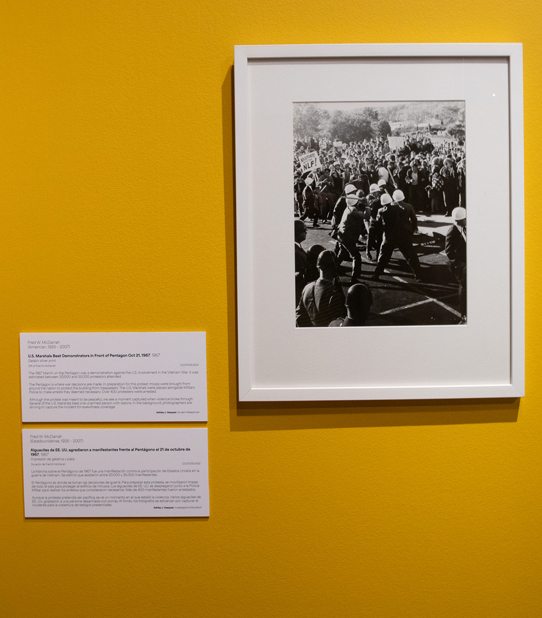 Lens as Witness: Photography and Resistance, 1960s - Now | RAFFMA